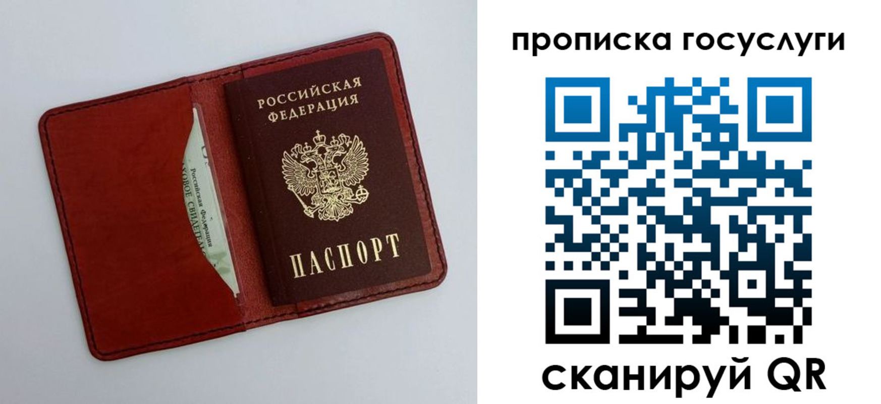 прописка паспорт в Ивантеевке